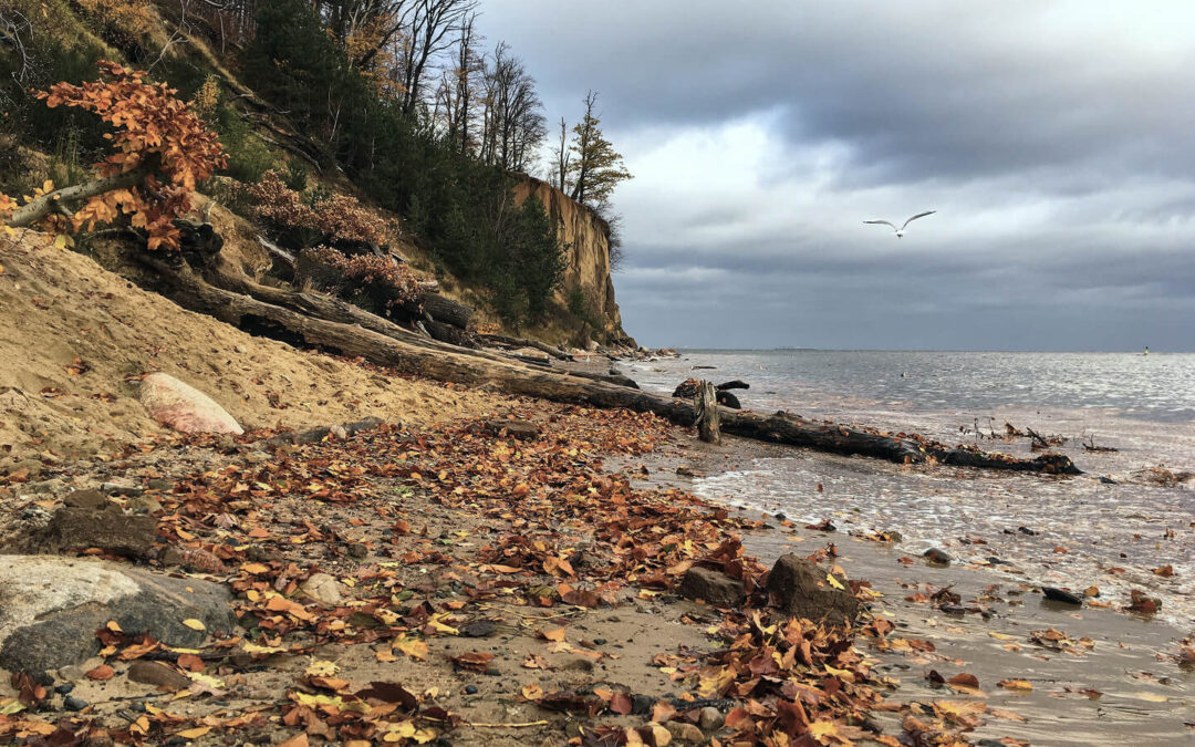 Herbstauszeit auf Rügen