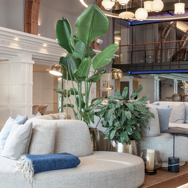 Lobby mit gemütlicher Sitzecke